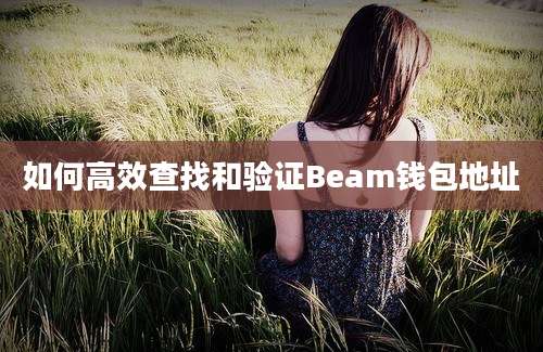 如何高效查找和验证Beam钱包地址