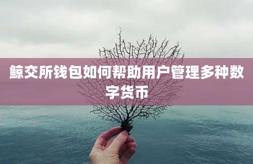 鲸交所钱包如何帮助用户管理多种数字货币