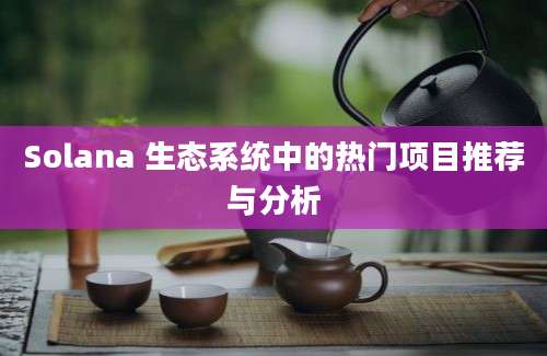 Solana 生态系统中的热门项目推荐与分析