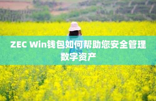 ZEC Win钱包如何帮助您安全管理数字资产