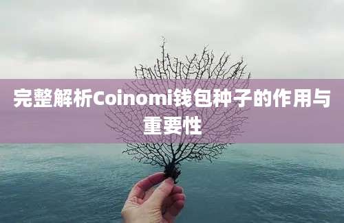 完整解析Coinomi钱包种子的作用与重要性