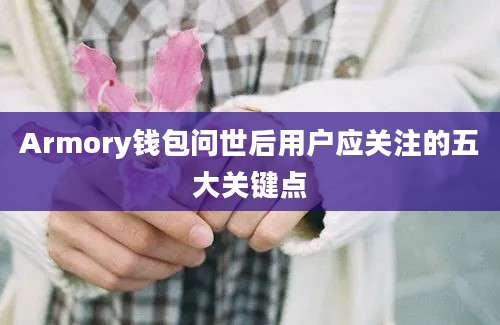 Armory钱包问世后用户应关注的五大关键点