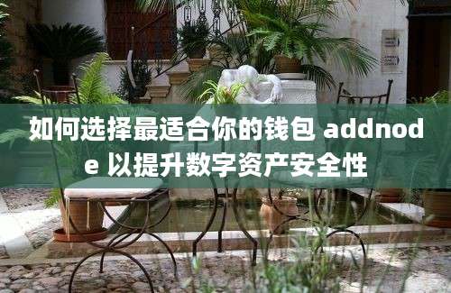 如何选择最适合你的钱包 addnode 以提升数字资产安全性