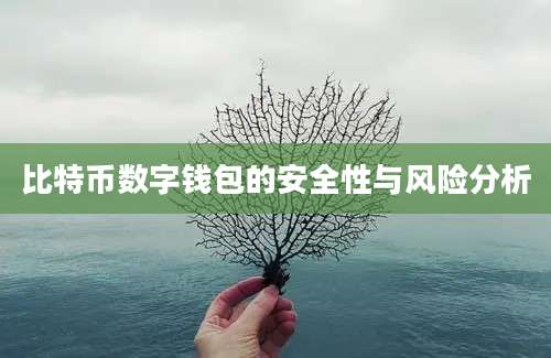 比特币数字钱包的安全性与风险分析