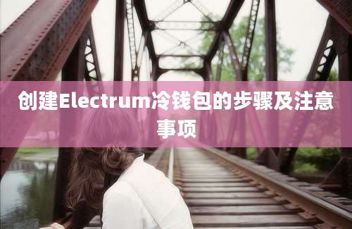 创建Electrum冷钱包的步骤及注意事项