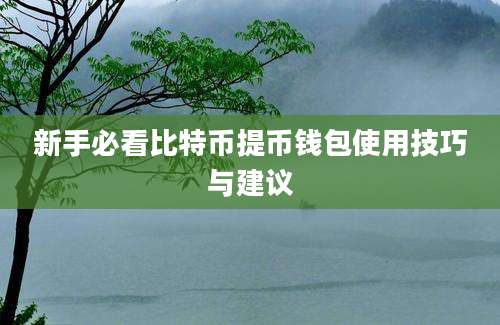 新手必看比特币提币钱包使用技巧与建议