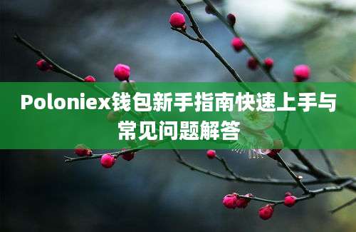 Poloniex钱包新手指南快速上手与常见问题解答