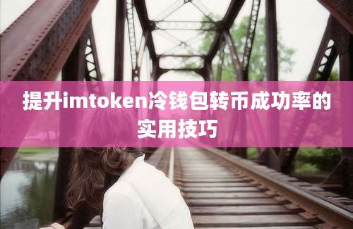 提升imtoken冷钱包转币成功率的实用技巧