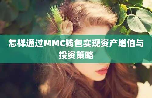 怎样通过MMC钱包实现资产增值与投资策略