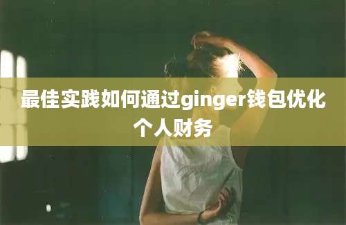 最佳实践如何通过ginger钱包优化个人财务