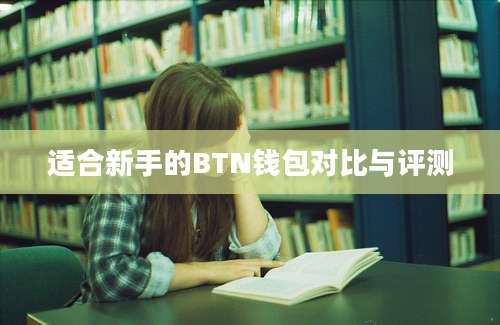 适合新手的BTN钱包对比与评测