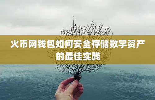 火币网钱包如何安全存储数字资产的最佳实践