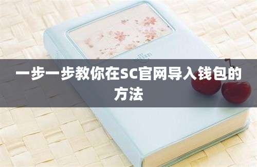 一步一步教你在SC官网导入钱包的方法