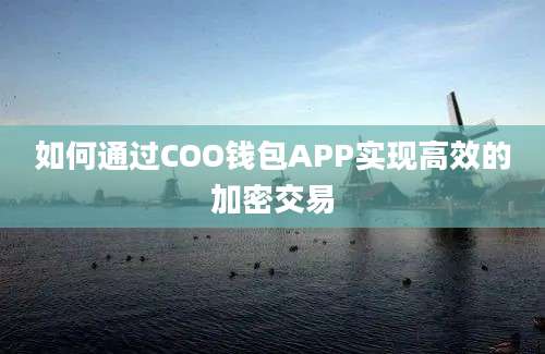 如何通过COO钱包APP实现高效的加密交易