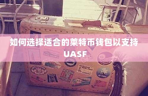 如何选择适合的莱特币钱包以支持 UASF