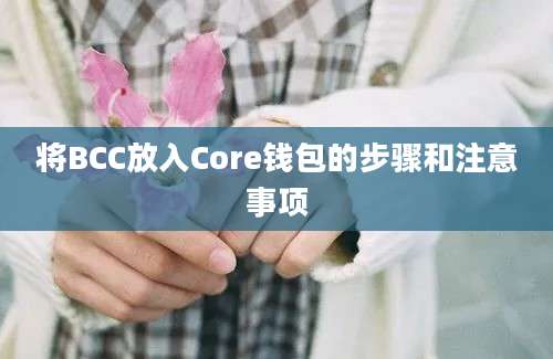 将BCC放入Core钱包的步骤和注意事项