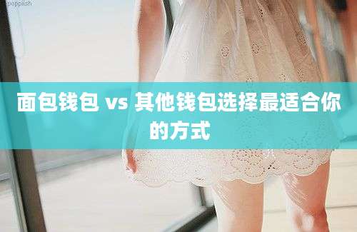 面包钱包 vs 其他钱包选择最适合你的方式