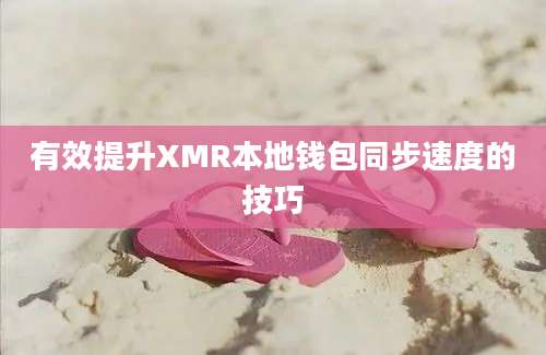 有效提升XMR本地钱包同步速度的技巧