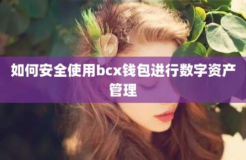 如何安全使用bcx钱包进行数字资产管理