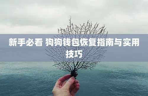 新手必看 狗狗钱包恢复指南与实用技巧