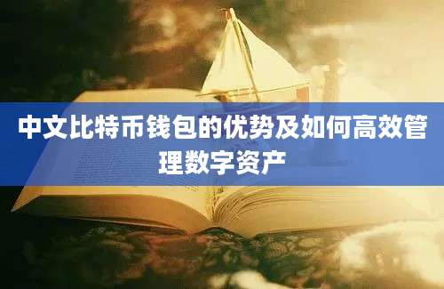 中文比特币钱包的优势及如何高效管理数字资产