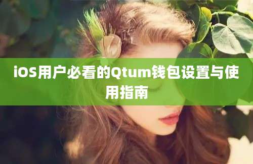 iOS用户必看的Qtum钱包设置与使用指南