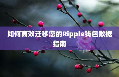 如何高效迁移您的Ripple钱包数据指南