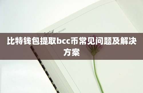 比特钱包提取bcc币常见问题及解决方案