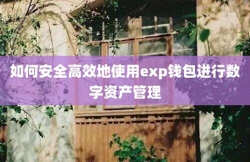 如何安全高效地使用exp钱包进行数字资产管理