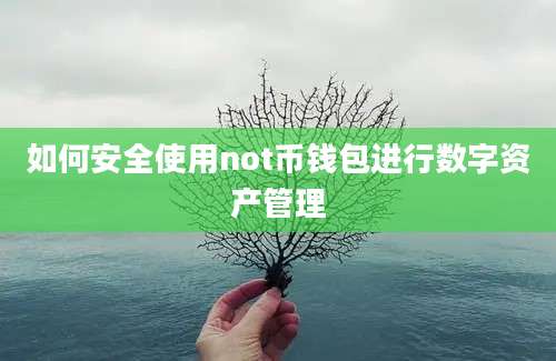 如何安全使用not币钱包进行数字资产管理