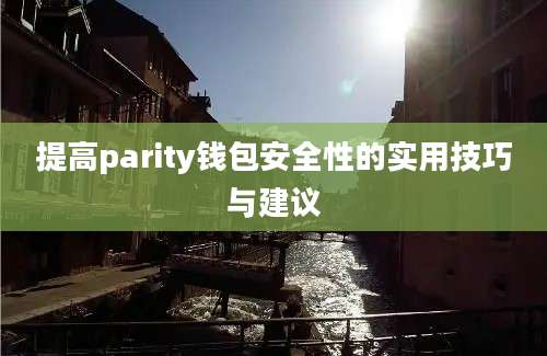 提高parity钱包安全性的实用技巧与建议