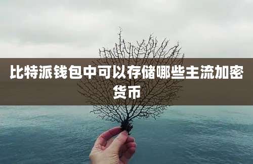 比特派钱包中可以存储哪些主流加密货币