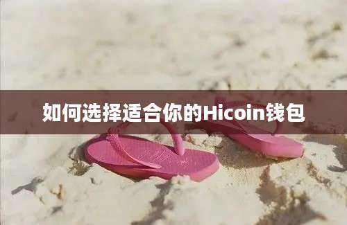 如何选择适合你的Hicoin钱包