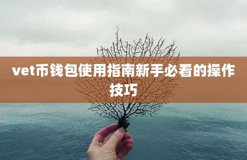 vet币钱包使用指南新手必看的操作技巧