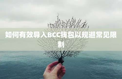 如何有效导入BCC钱包以规避常见限制