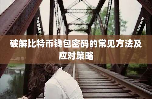 破解比特币钱包密码的常见方法及应对策略