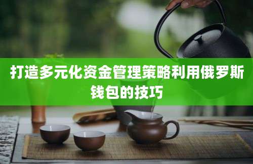 打造多元化资金管理策略利用俄罗斯钱包的技巧