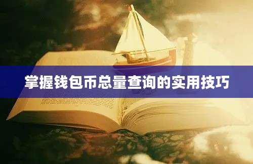 掌握钱包币总量查询的实用技巧