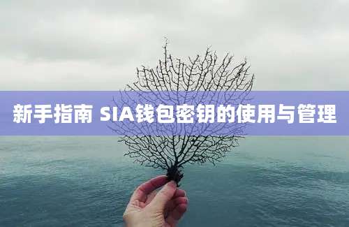 新手指南 SIA钱包密钥的使用与管理