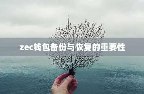 zec钱包备份与恢复的重要性