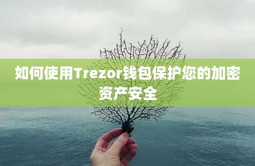 如何使用Trezor钱包保护您的加密资产安全