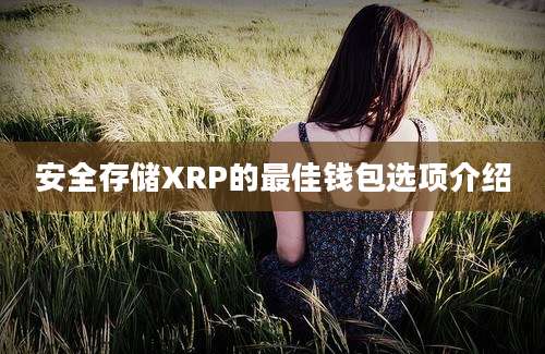 安全存储XRP的最佳钱包选项介绍