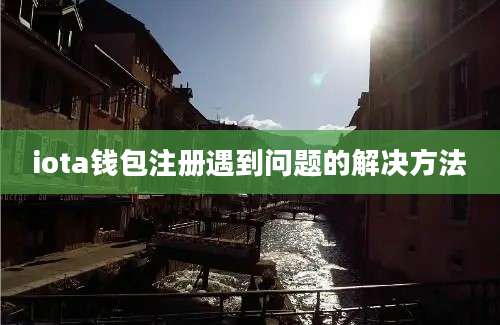 iota钱包注册遇到问题的解决方法