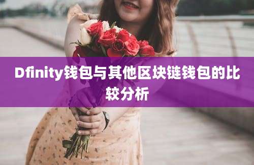 Dfinity钱包与其他区块链钱包的比较分析