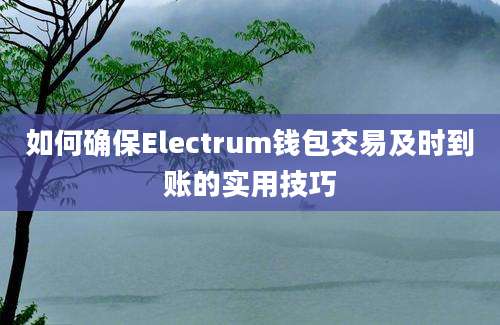 如何确保Electrum钱包交易及时到账的实用技巧