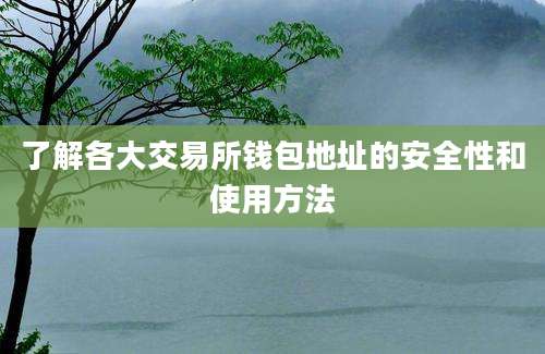 了解各大交易所钱包地址的安全性和使用方法