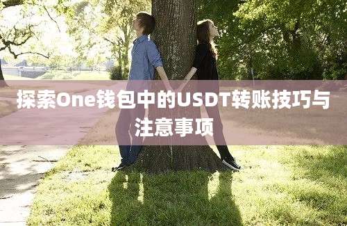 探索One钱包中的USDT转账技巧与注意事项