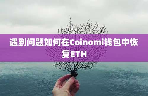 遇到问题如何在Coinomi钱包中恢复ETH