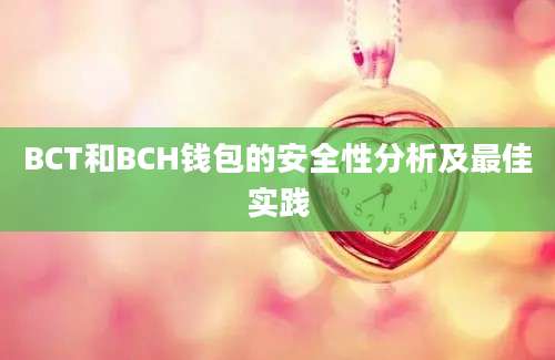 BCT和BCH钱包的安全性分析及最佳实践