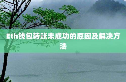 Eth钱包转账未成功的原因及解决方法